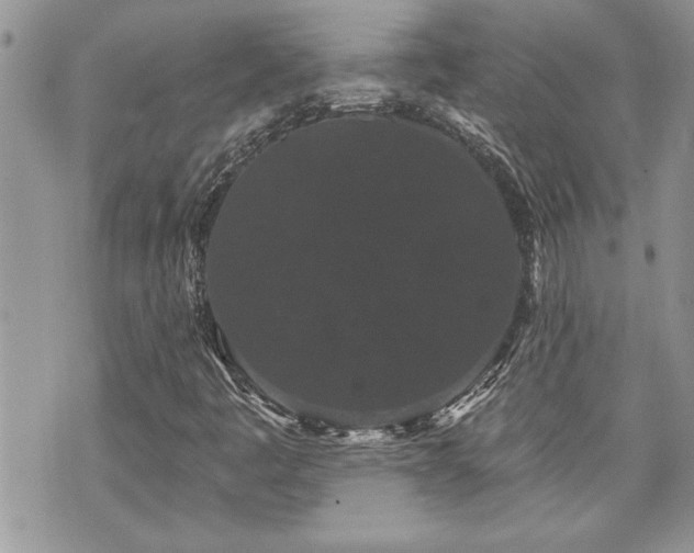 X0000070861445200606161128