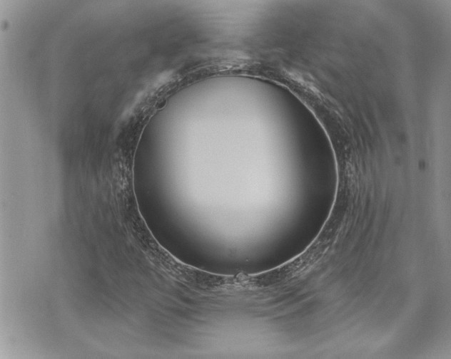 X0000070861447200606161128