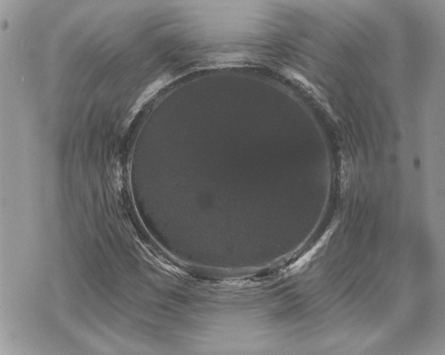 X0000070861449200606161128