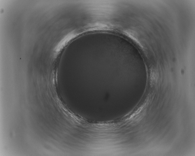 X0000070861455200606161128