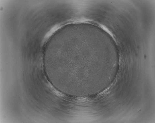 X0000070861456200606161128