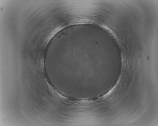 X0000070861457200606161128