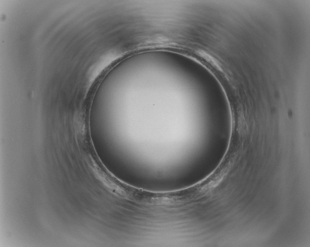 X0000070861458200606161128