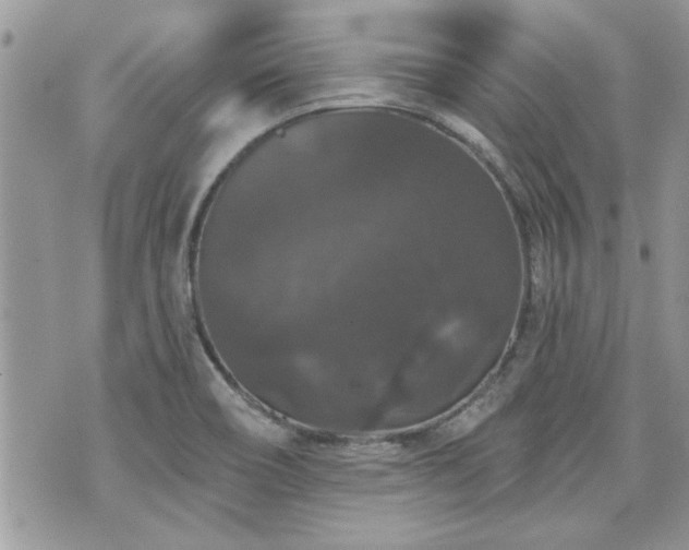 X0000070861466200606161128