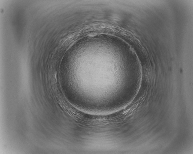 X0000070861489200606161126