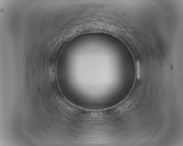 X0000070861491200606161127