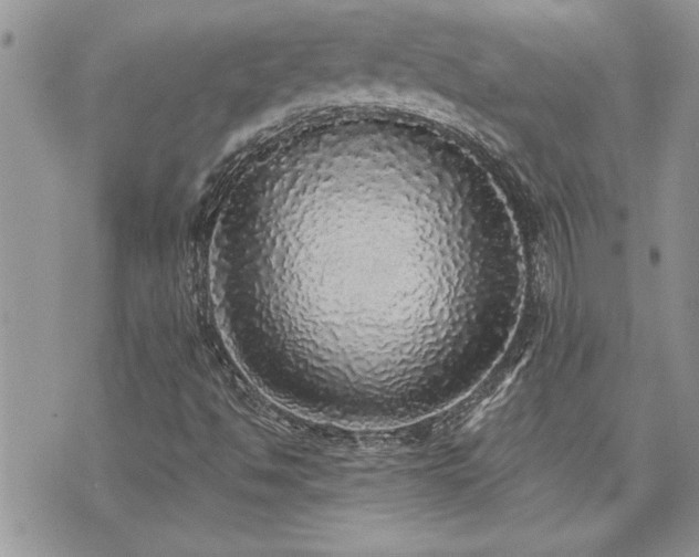 X0000070861494200606161127