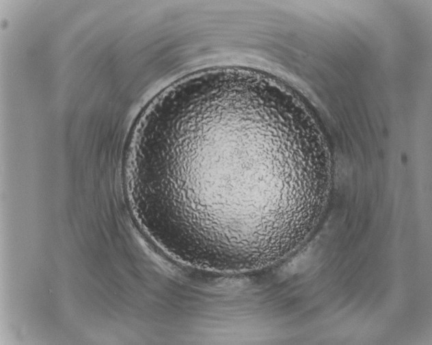 X0000070861513200606161127