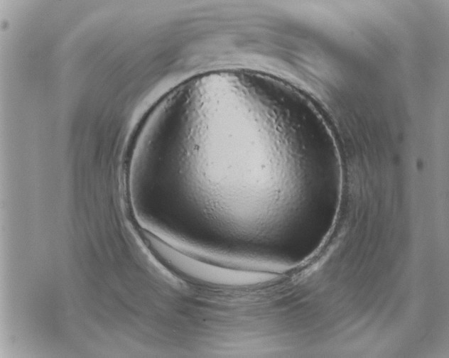 X0000070861517200606161127