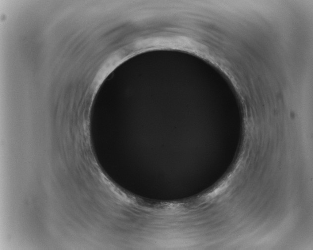 X0000070861529200606161127
