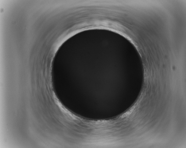 X0000070861534200606161127