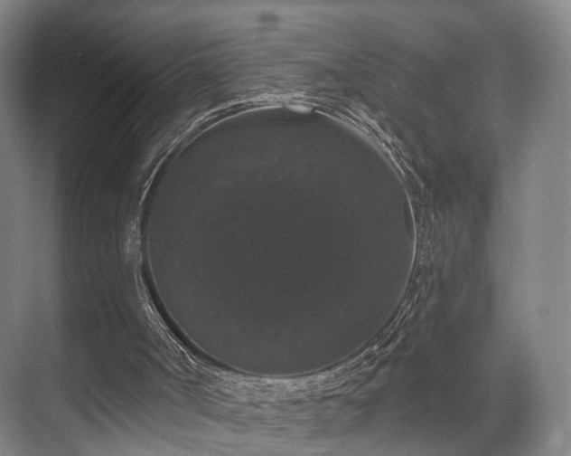 X0000070860002200606191328