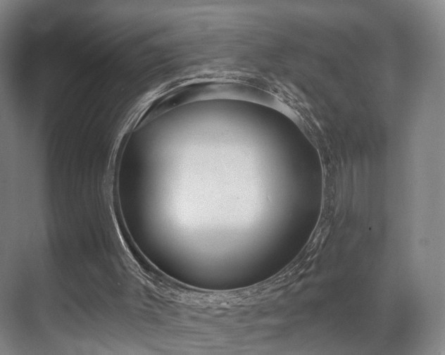 X0000070860003200606191328