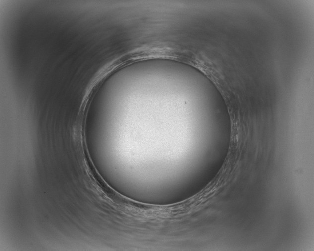 X0000070860004200606191328