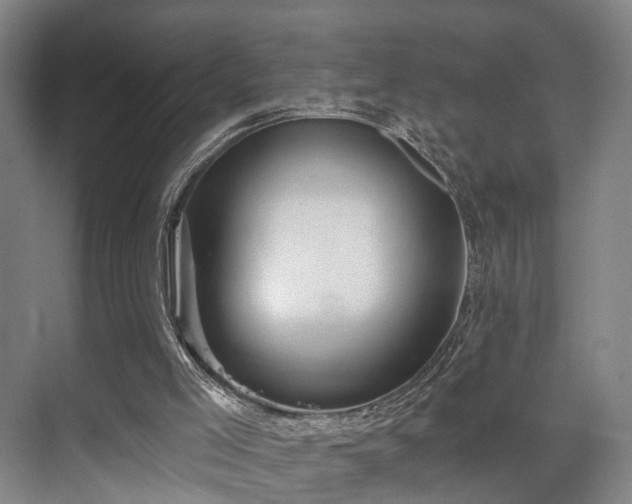 X0000070860005200606191328