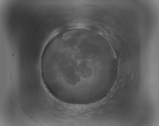 X0000070860006200606191328