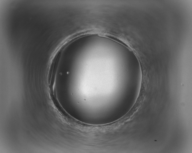 X0000070860007200606191328