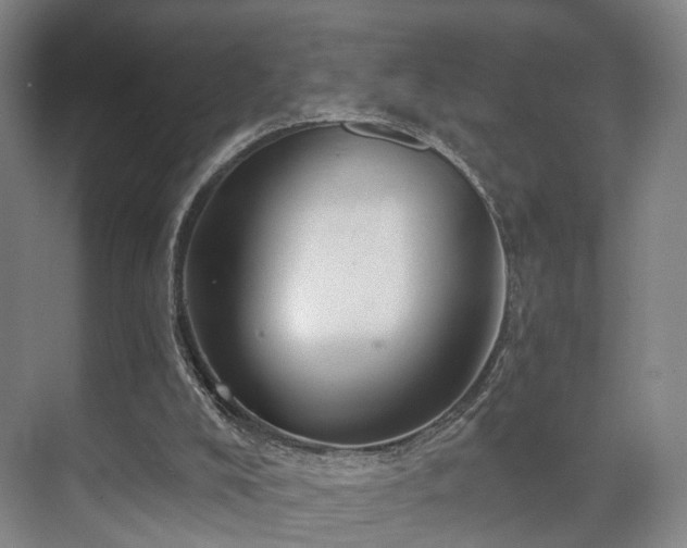 X0000070860008200606191328