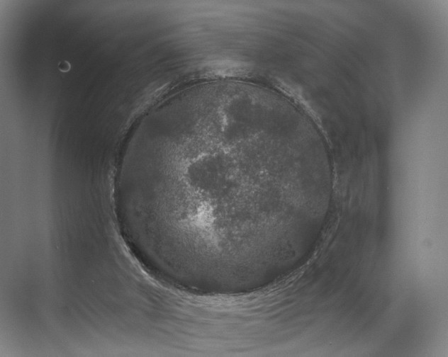 X0000070860010200606191328