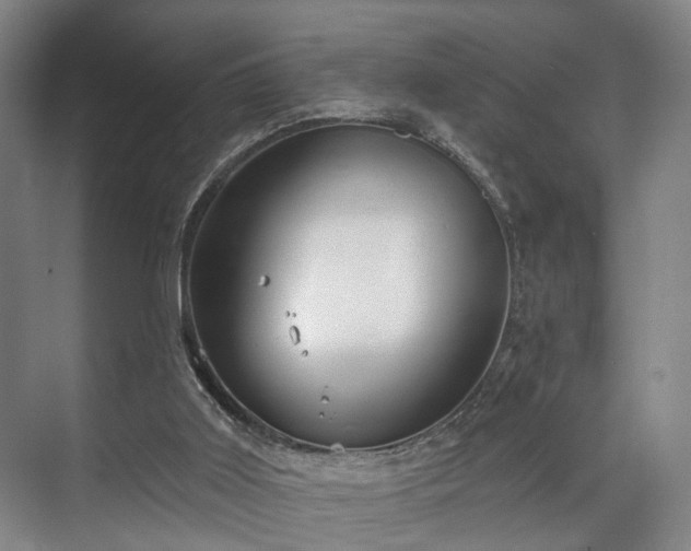 X0000070860011200606191328