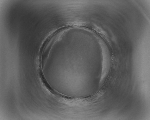 X0000070860012200606191328