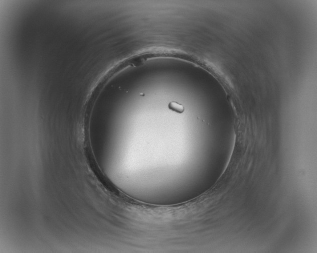 X0000070860015200606191328