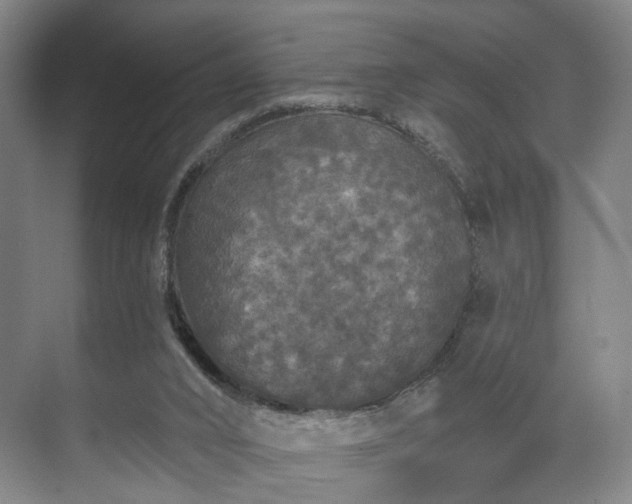 X0000070860016200606191328