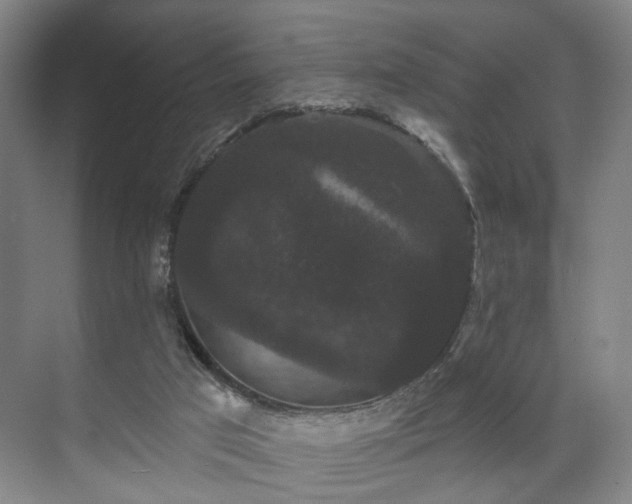 X0000070860017200606191328