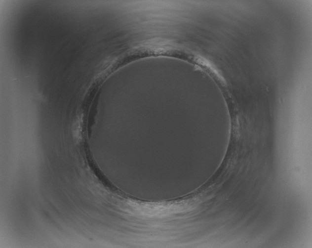 X0000070860018200606191328