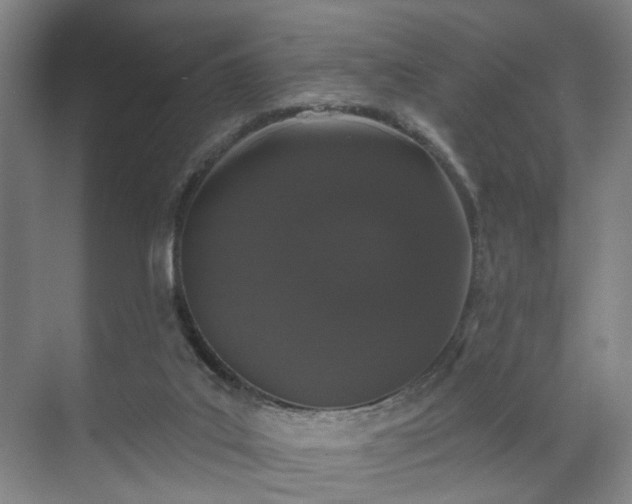 X0000070860019200606191328