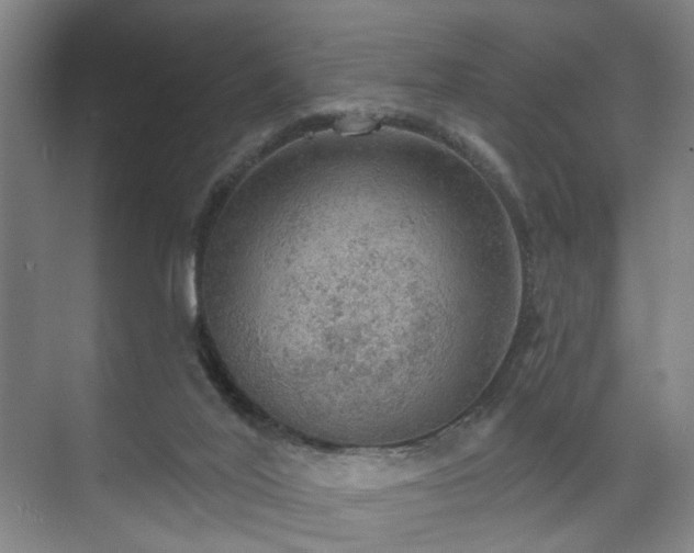 X0000070860020200606191328