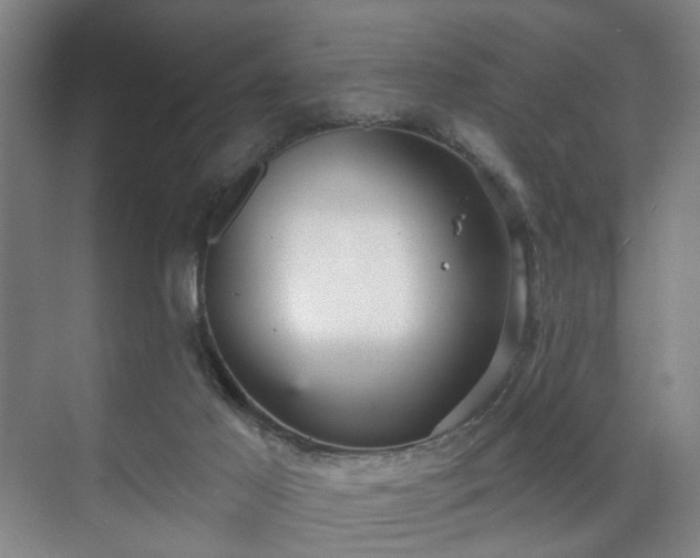 X0000070860021200606191328