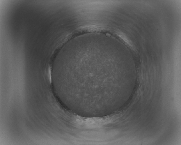 X0000070860022200606191328