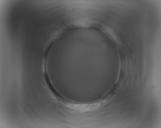 X0000070860023200606191328