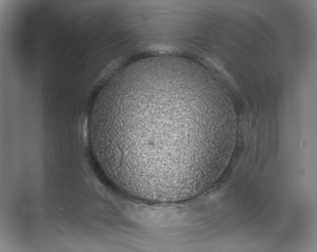 X0000070860024200606191328