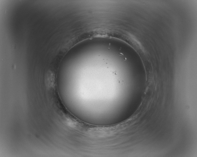 X0000070860025200606191328