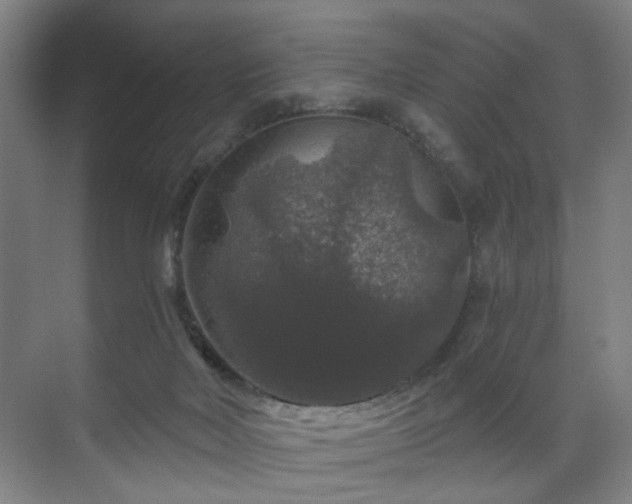 X0000070860026200606191328