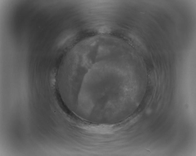 X0000070860032200606191328