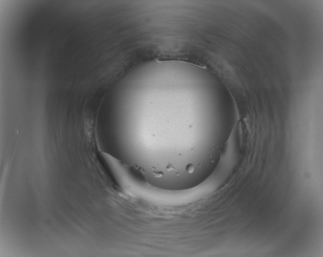 X0000070860033200606191328