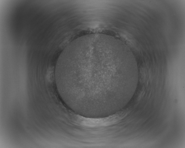 X0000070860034200606191328