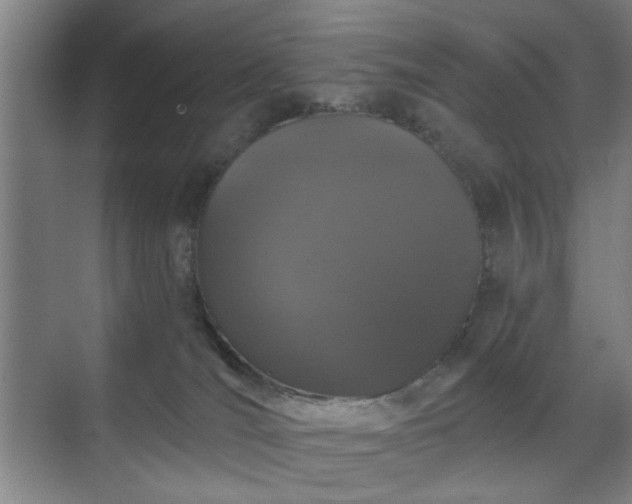 X0000070860036200606191328