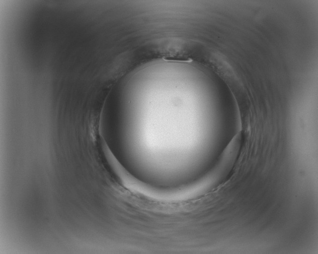 X0000070860037200606191328