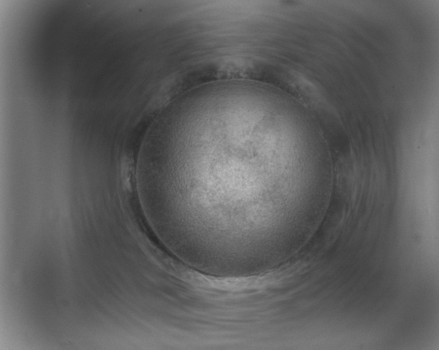 X0000070860038200606191328