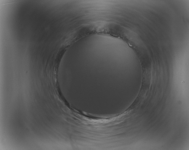 X0000070860039200606191328