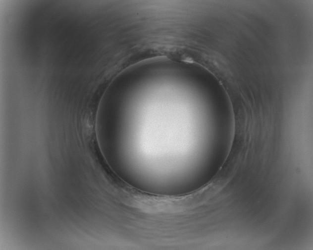 X0000070860040200606191328