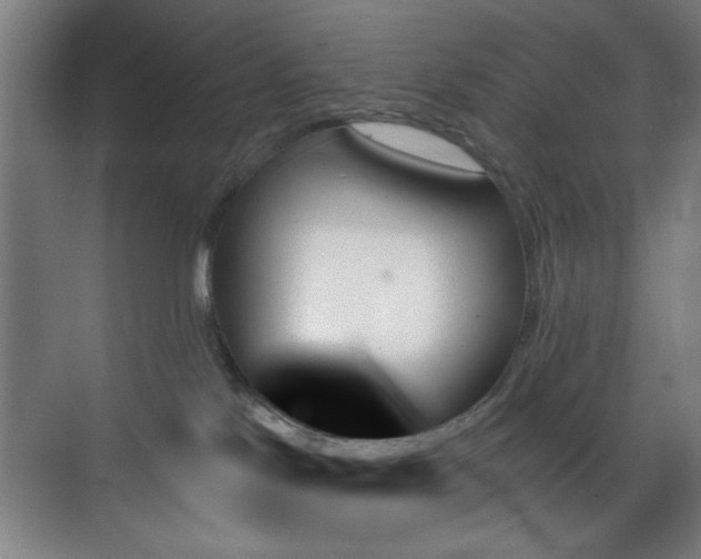 X0000070860041200606191328