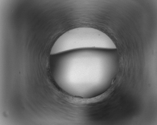 X0000070860043200606191328