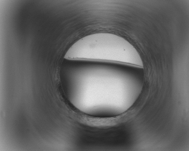 X0000070860044200606191328