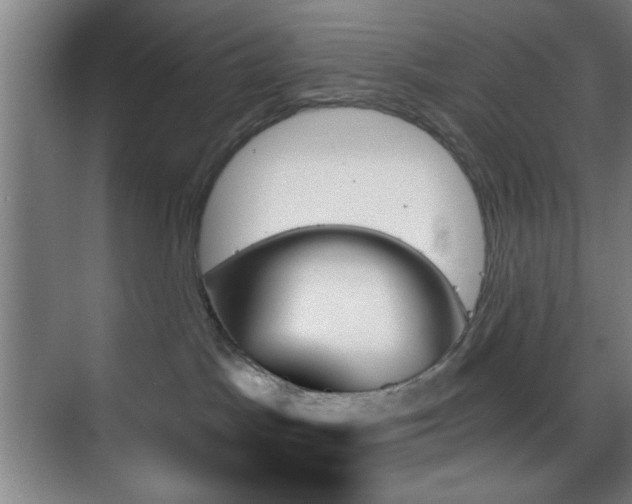 X0000070860045200606191328