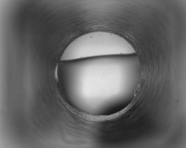 X0000070860047200606191328